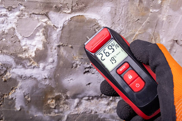 Best Mold Remediation for Specific Building Types in Pine Prairie, LA